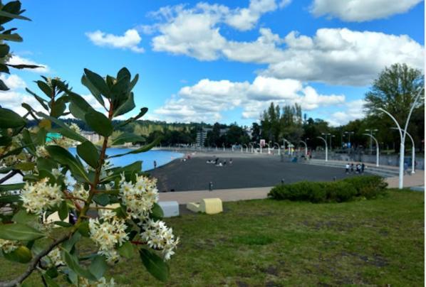 Apartamento Departamento En A Pasos Del Y Con Vista Al Volcan *